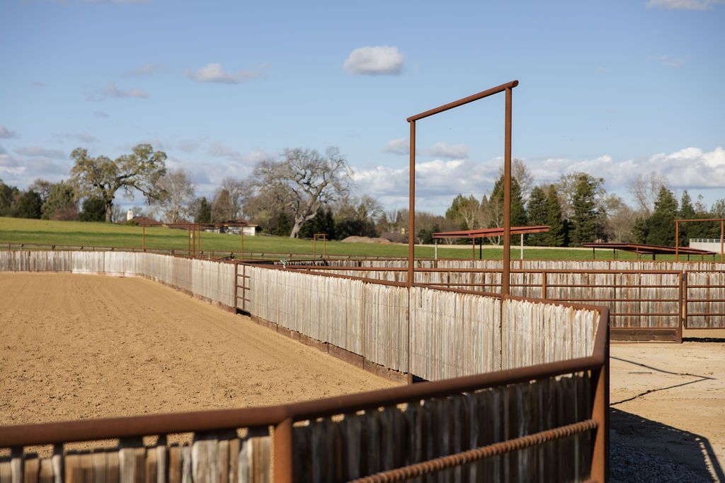 Outdoor horse paddocks with wooden fencing under a blue sky, and a tall metal gate frame in the center