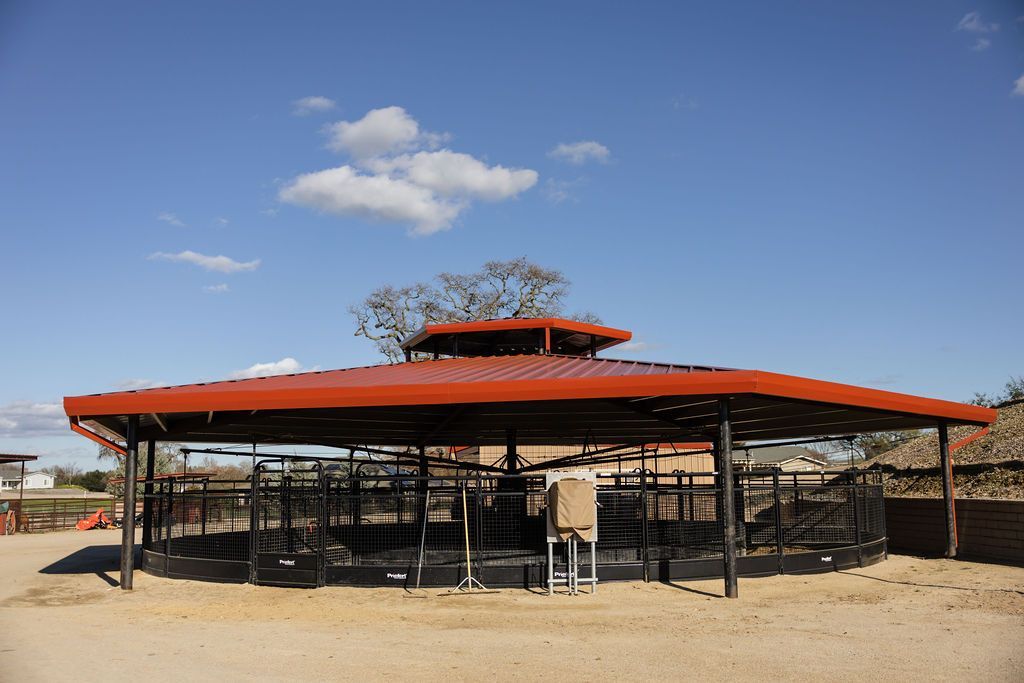 Open-air horse walker with an metal roof under a clear blue sky