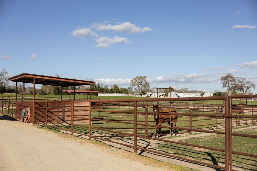 Ranch corral with metal fencing, a brown horse, and a shelter under a blue sky