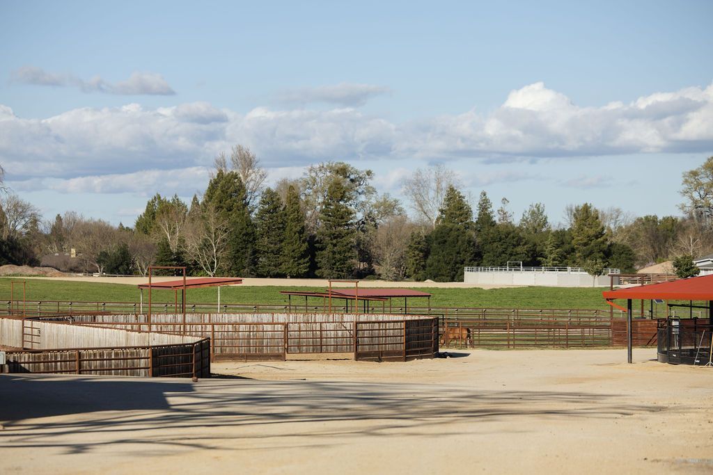 Empty outdoor paddocks with trees, and a cloudy sky in the background