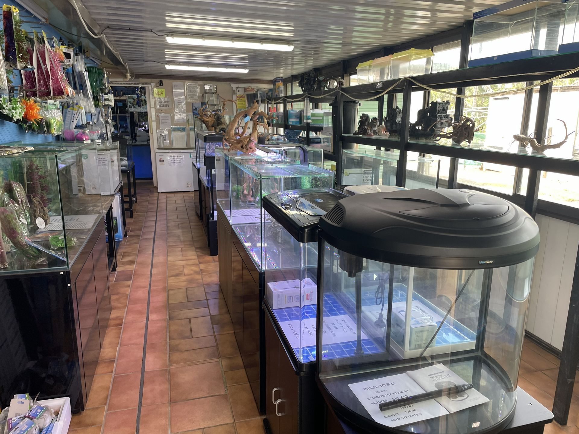 Inside a pet store, aquariums line the floor. Tanks display reptile accessories and fish supplies.