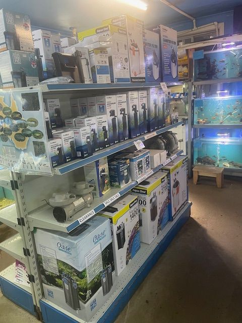 Shelves in a store displaying various aquarium filters, heaters, and supplies, with fish tanks visible in the background.