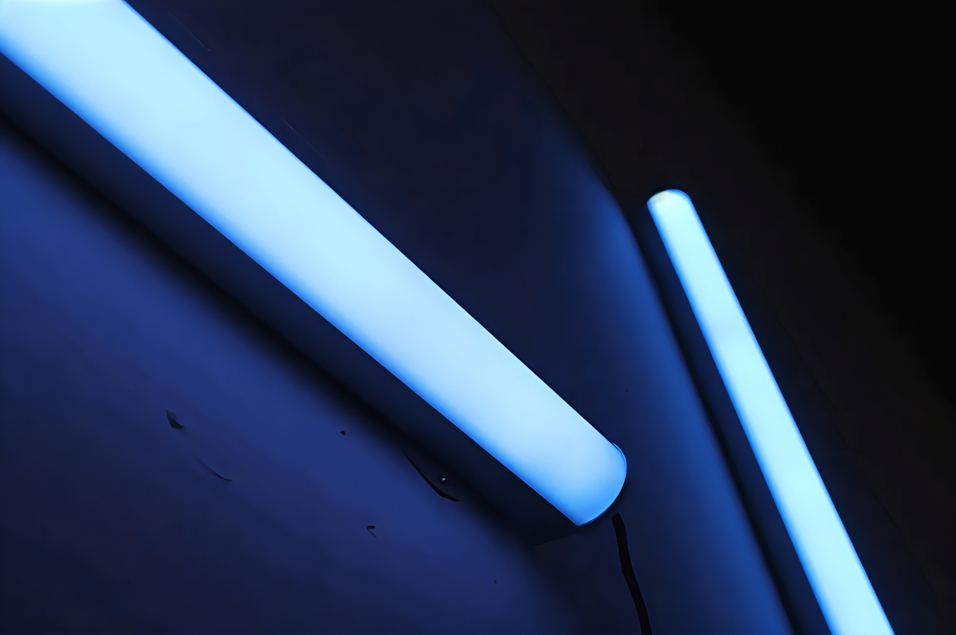 Two Glowing, Blue Fluorescent Tube Lights Mounted on A Dark Wall — Summerland Aquarium in Wollongbar, NSW