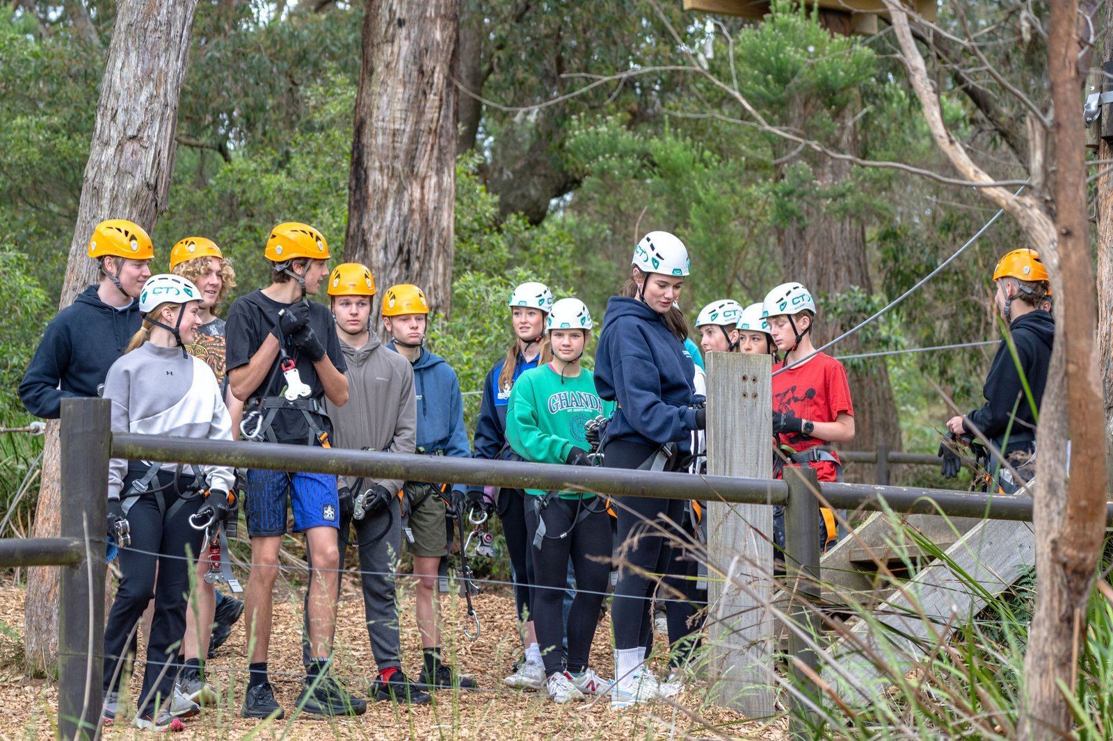 Youth members in climbing helmets and harnesses at the tree surfing course.