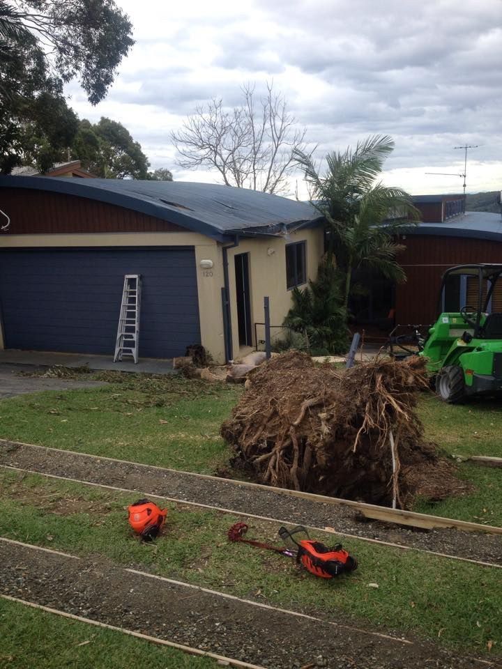A large pile of roots is sitting in front of a house.