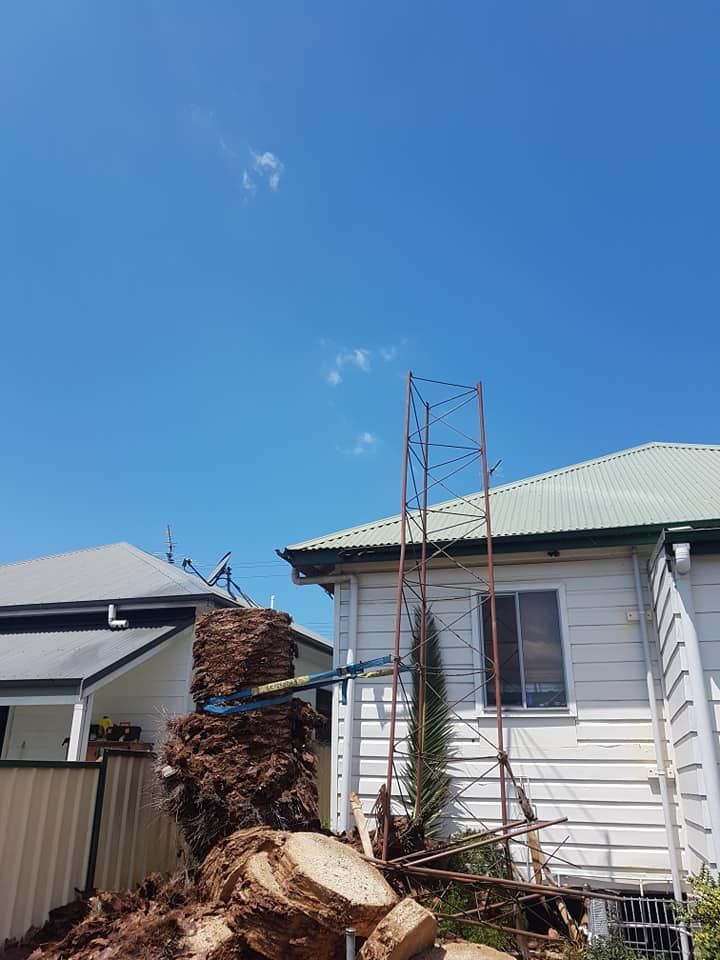 A pile of logs is sitting in front of a house.