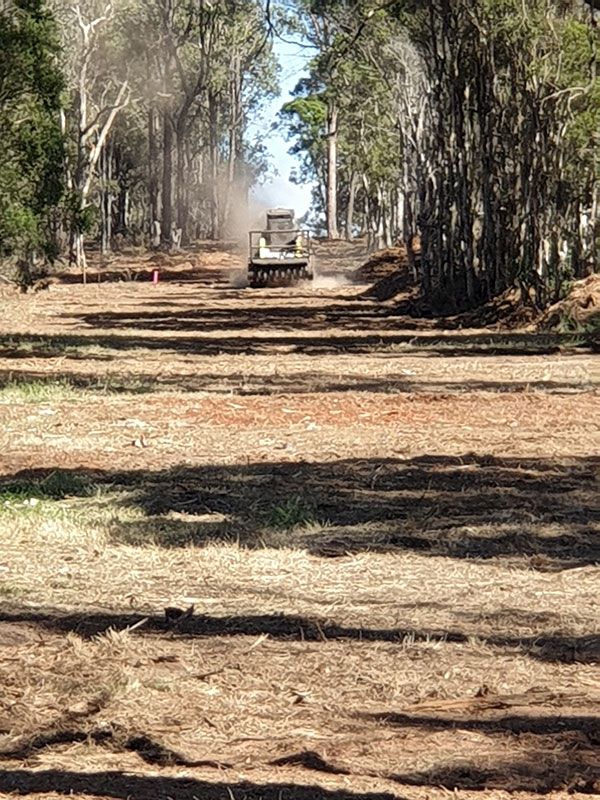 A bulldozer is cutting down trees in a field.