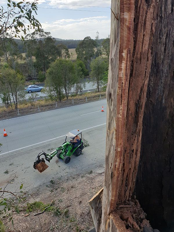 A green tractor is driving down a road next to a tree stump.