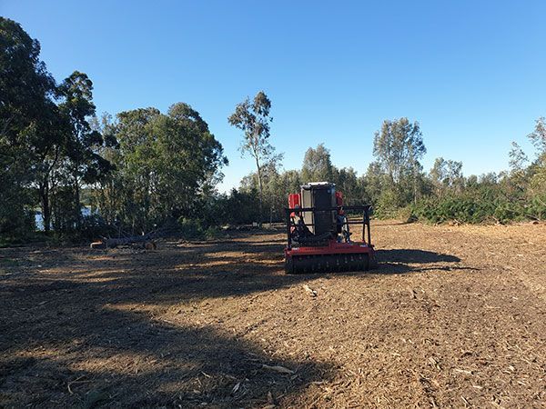 A red tractor is driving through a dirt field with trees in the background.