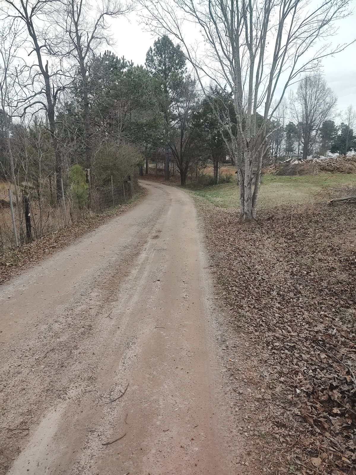 Gravel driveway winding through leafless trees beside a grassy yard on an overcast day