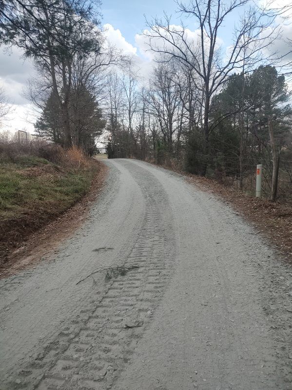 Gravel road curving uphill through leafless trees in a quiet wooded area