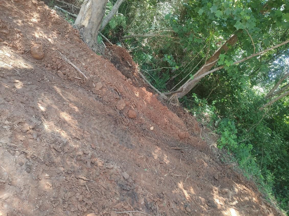 Tilted view of a dirt path beside a green wooded area with trees and dappled sunlight.