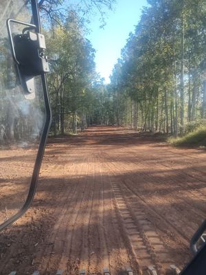 White skid-steer bulldozing dirt on a wooded trail, pushing a mound of soil
