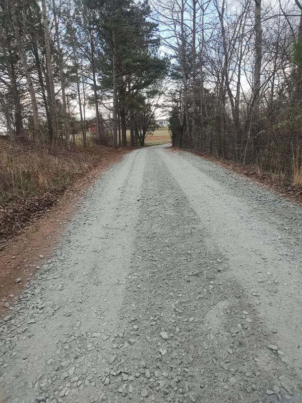 Gravel road lined with bare trees leading into the distance on an overcast day