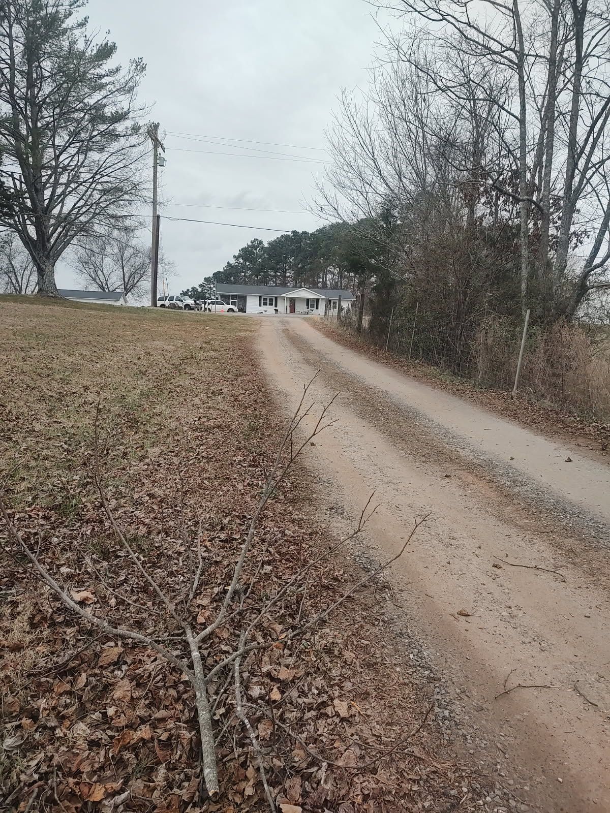 Gravel driveway leading to a house through a leaf-covered rural yard on an overcast day