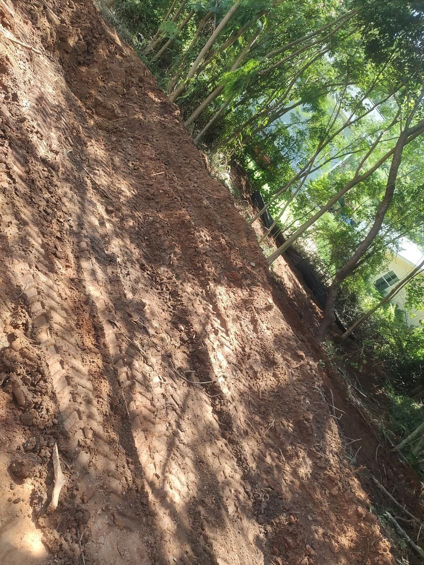 Tilted view of a dirt path beside trees with sunlight and shadows filtering through the foliage