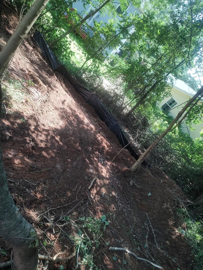 Shaded dirt path beside dense green trees and a small white building