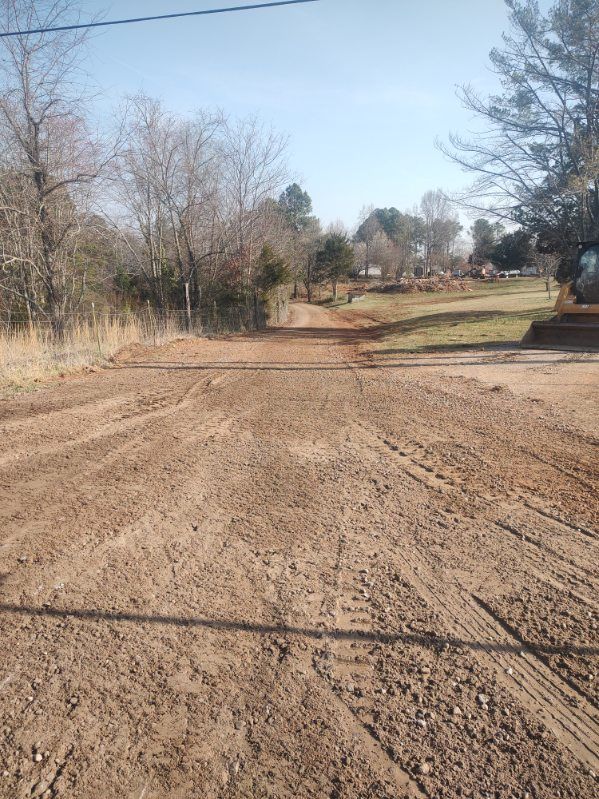 Dirt road under a clear sky, lined with bare trees and brush in a rural area