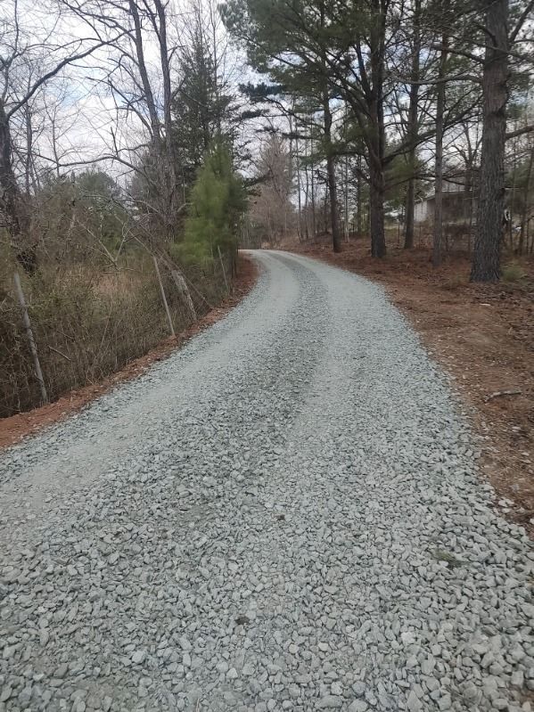 Gravel road curving through leafless woods on an overcast day