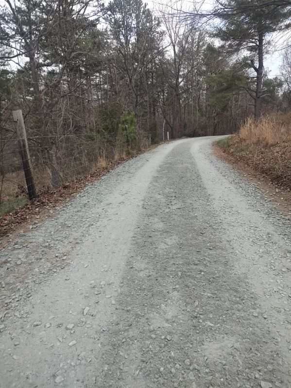 Gravel road curving through a leafless wooded area on an overcast day