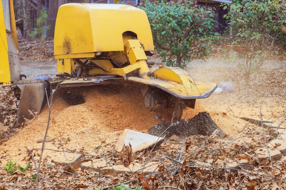 Yellow wood chipper blowing wood chips into a pile outdoors