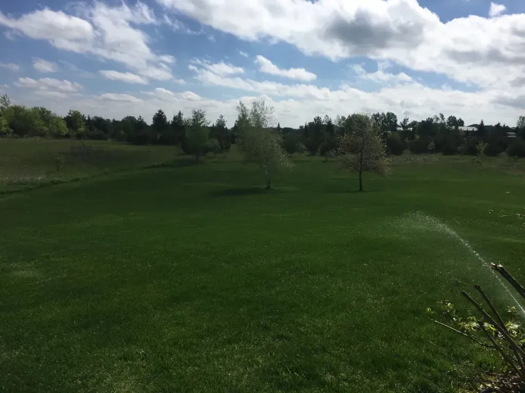 Green golf course with scattered trees under a cloudy sky