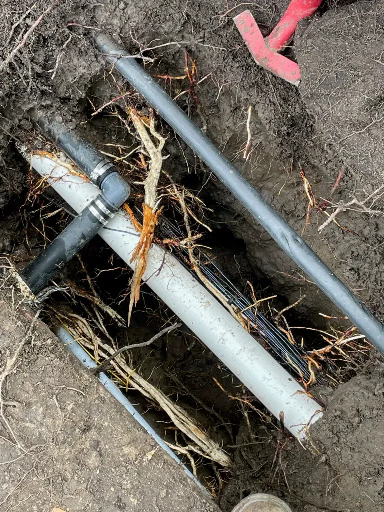 Exposed gray utility pipes and cables in a dirt trench, with roots and a pink marker nearby
