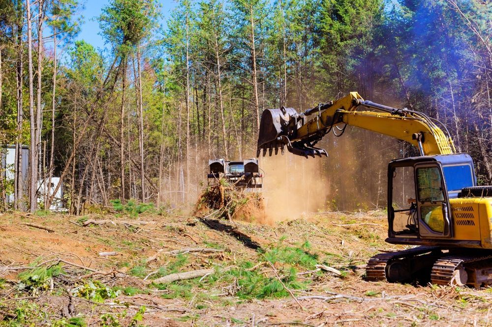 Excavator clearing brush in a wooded area, kicking up dust under a blue sky.