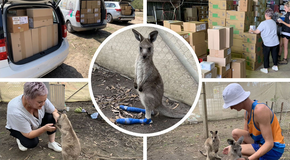 medical supplies for the affected wildlife