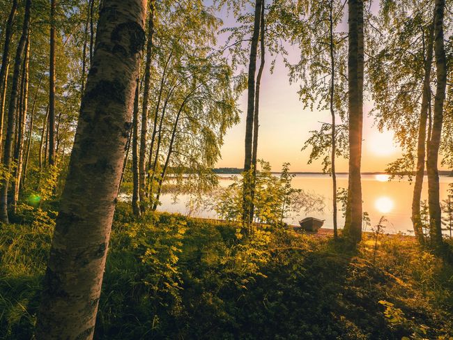 Maisemakuva rannalta