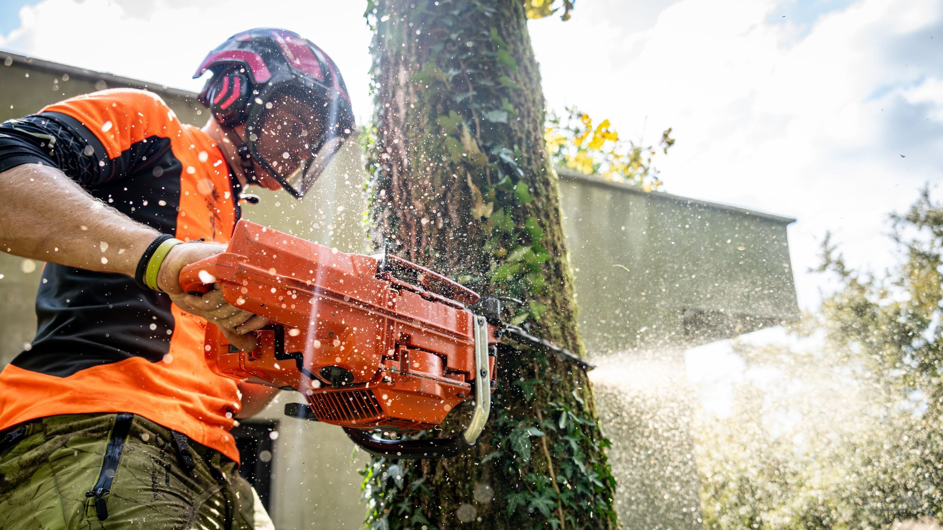 Worker in safety gear cuts ivy-covered tree with chainsaw outdoors.