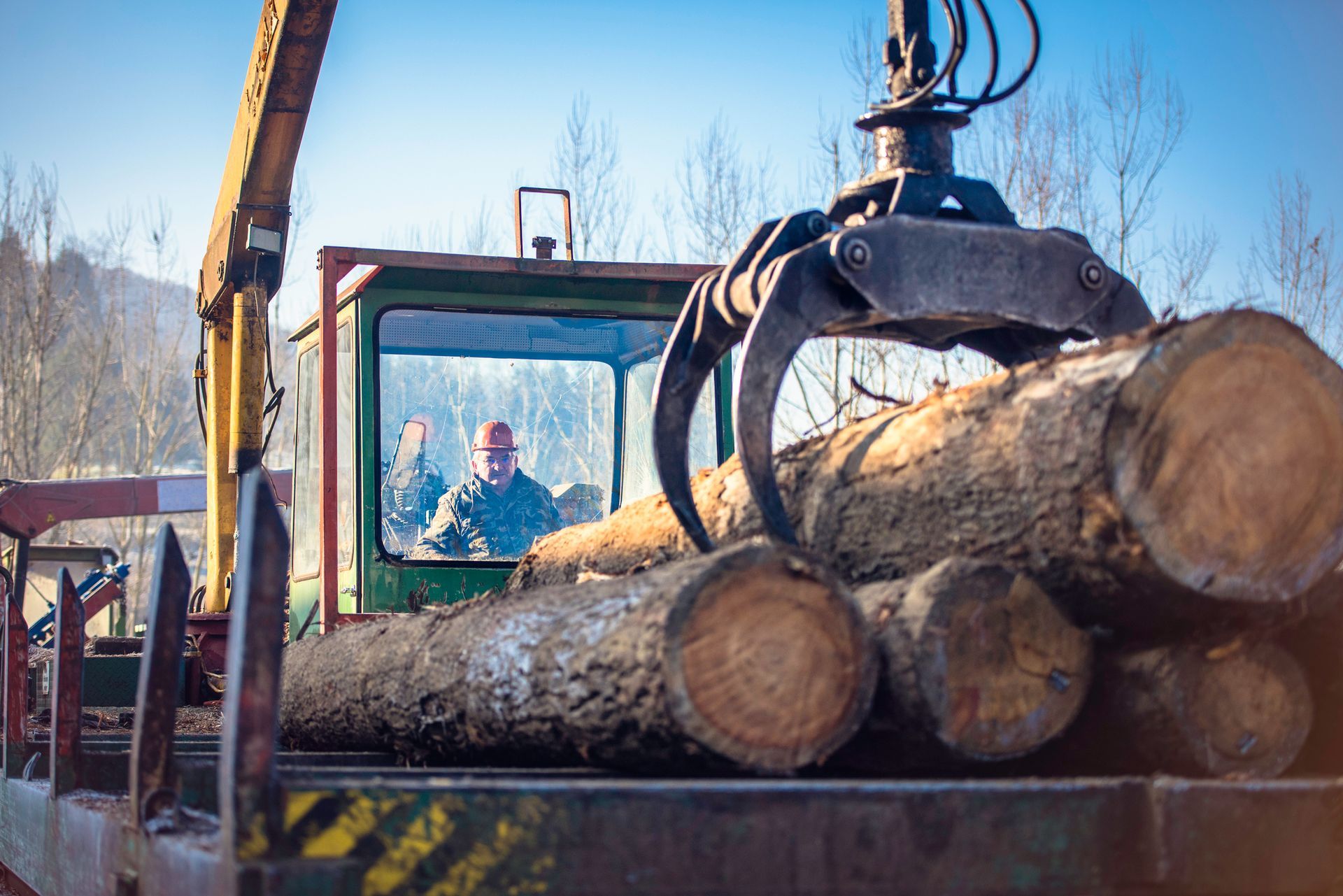 Heavy-duty crane unloading logs at a logging site, demonstrating efficient logging equipment supply.