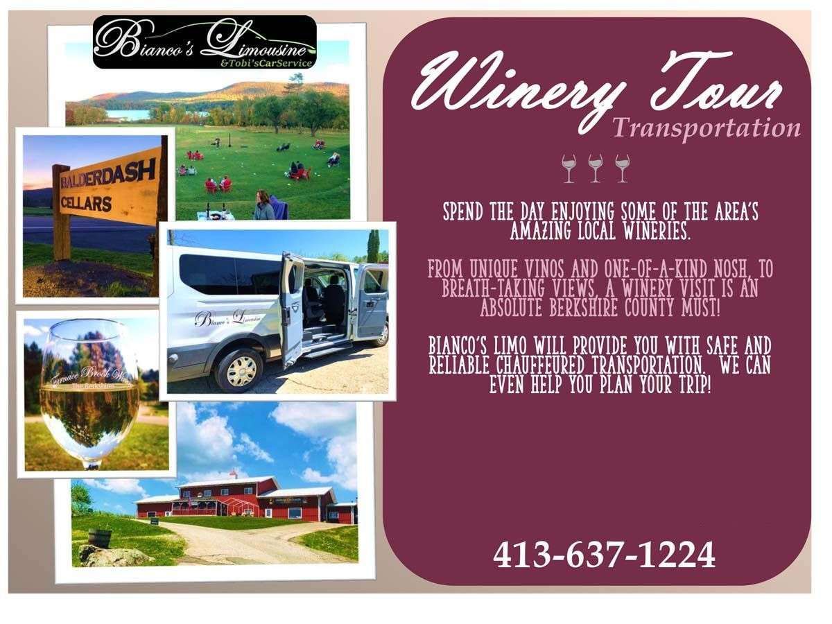 A flyer for a winery tour transportation service featuring photos of vineyards, a van, and the phone number 413-637-1224.