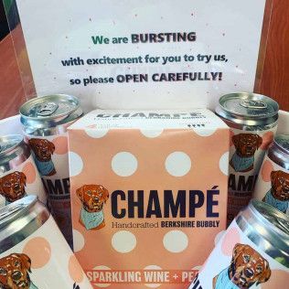 A box and several cans of Champé sparkling wine with peach, featuring a brown dog logo on a pink polka-dot background.