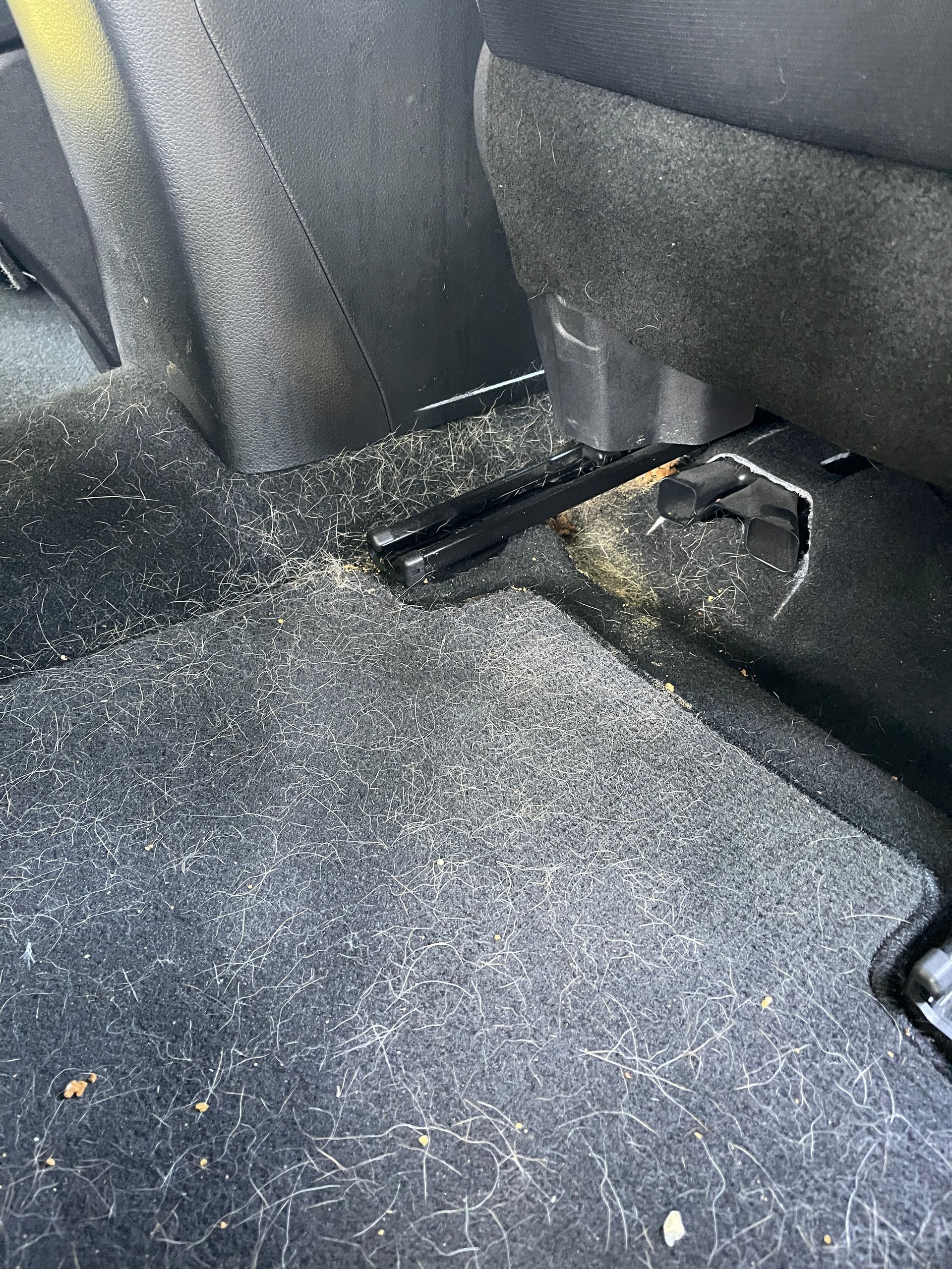 A close up of a car floor with a lot of hair on it.