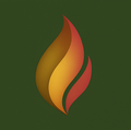 Flame-shaped logo with orange and red gradient on a dark green background.