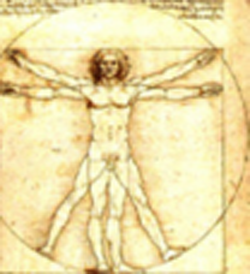 Life Care Chiropractic