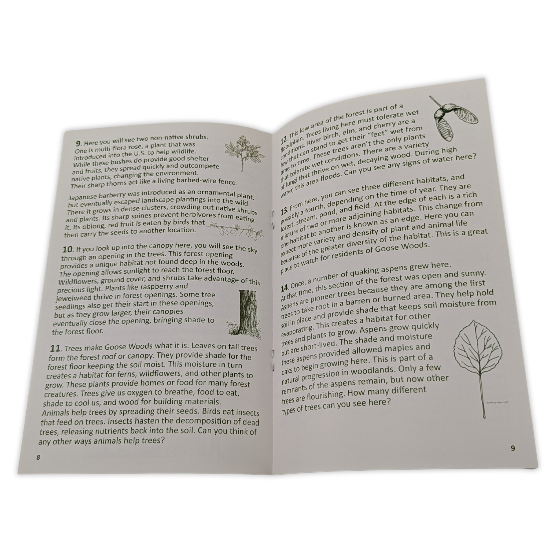 A book is open to a page with a picture of a tree on it by Press Enterprise Commercial Printing