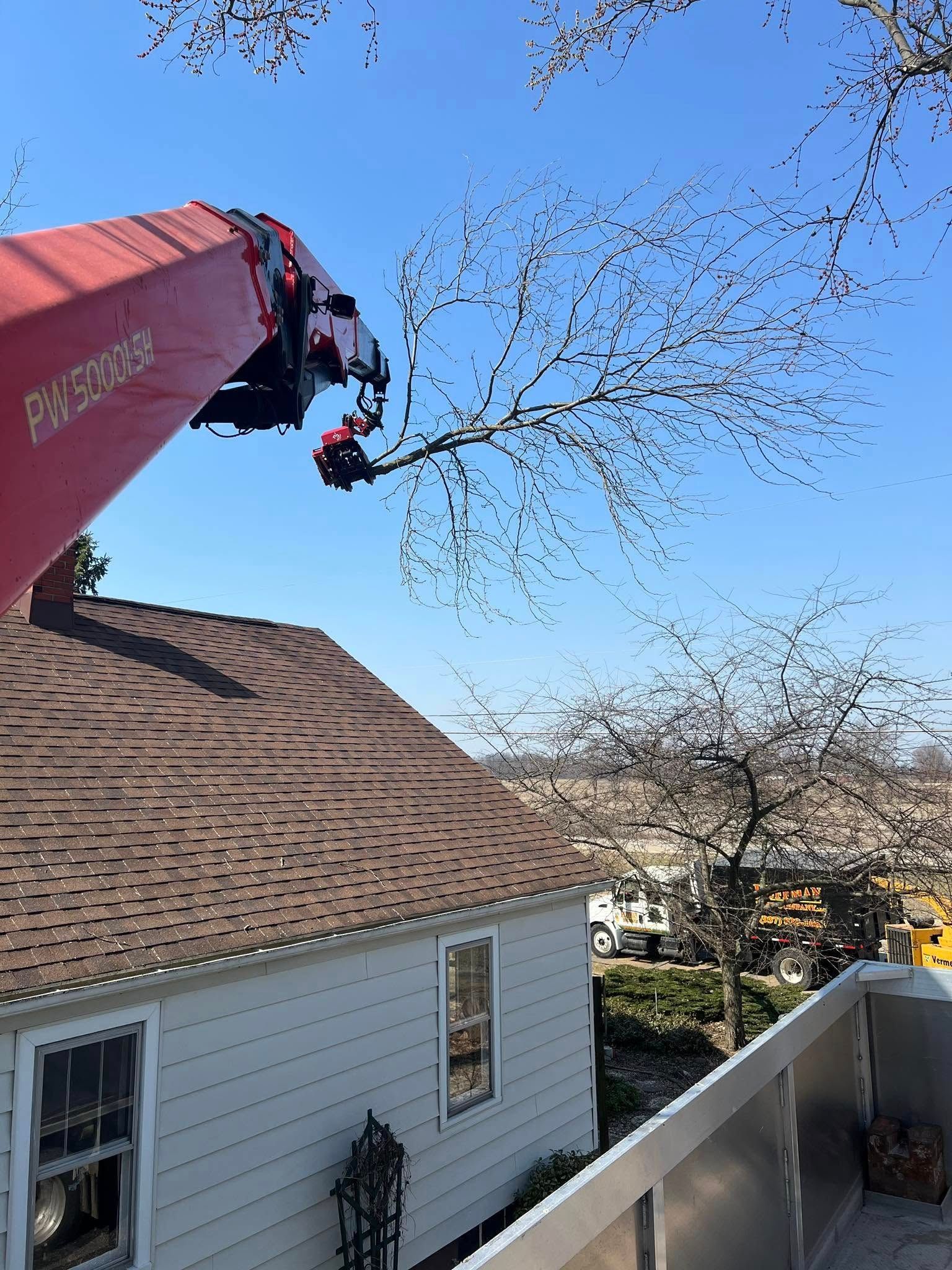 Emergency Tree Services Springfield OH