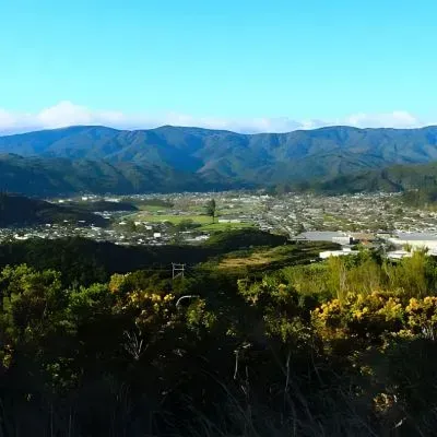 View of Hutt Valley showing commercial development in Lower Hutt and Upper Hutt.