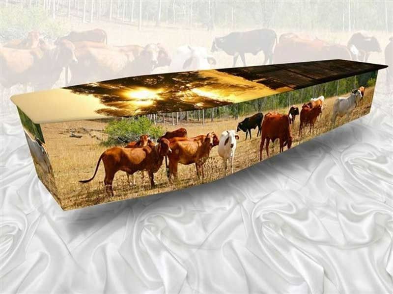 Casket With a Rural Scene of Cattle Grazing in a Field — Finlayson & McKenzie Funeral Directors in Rockhampton City, QLD