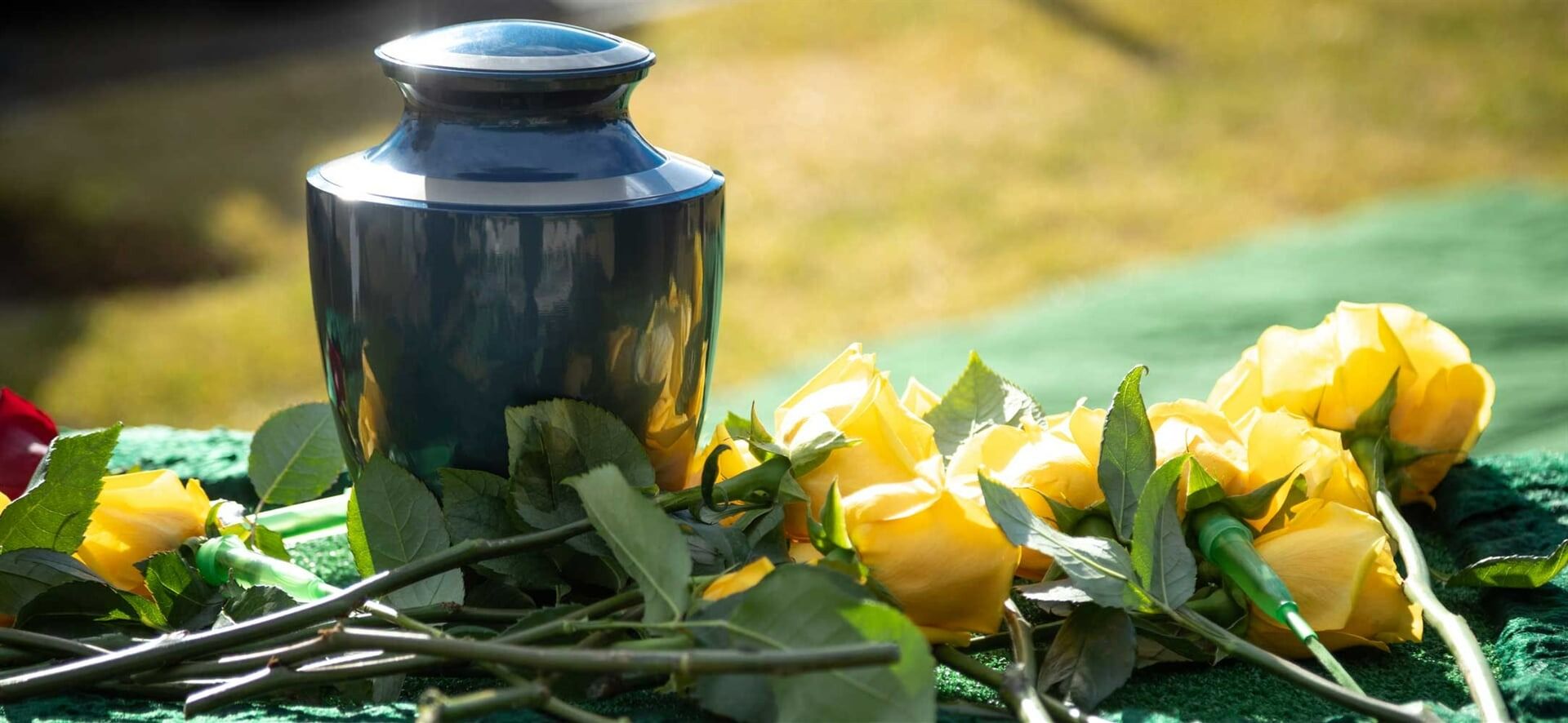 Blue Cremation Urn With Yellow Roses on a Green Surface — Finlayson & McKenzie Funeral Directors in Rockhampton City, QLD