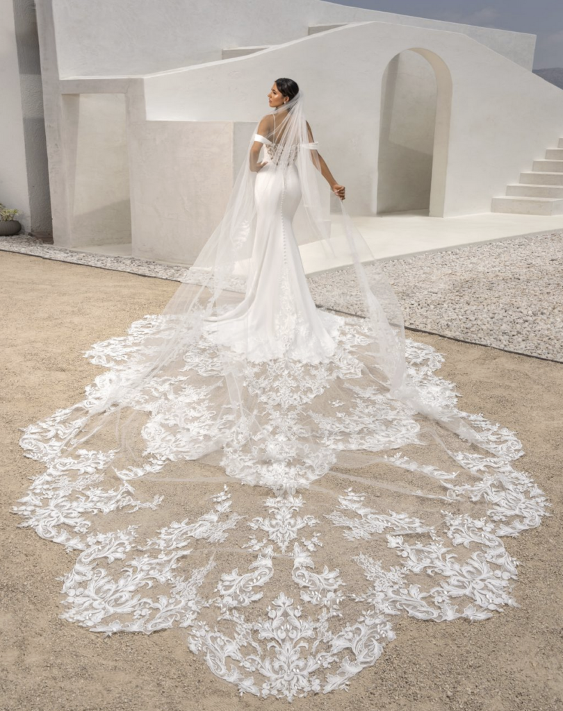 A woman in a wedding dress with a long veil is standing in front of a building.