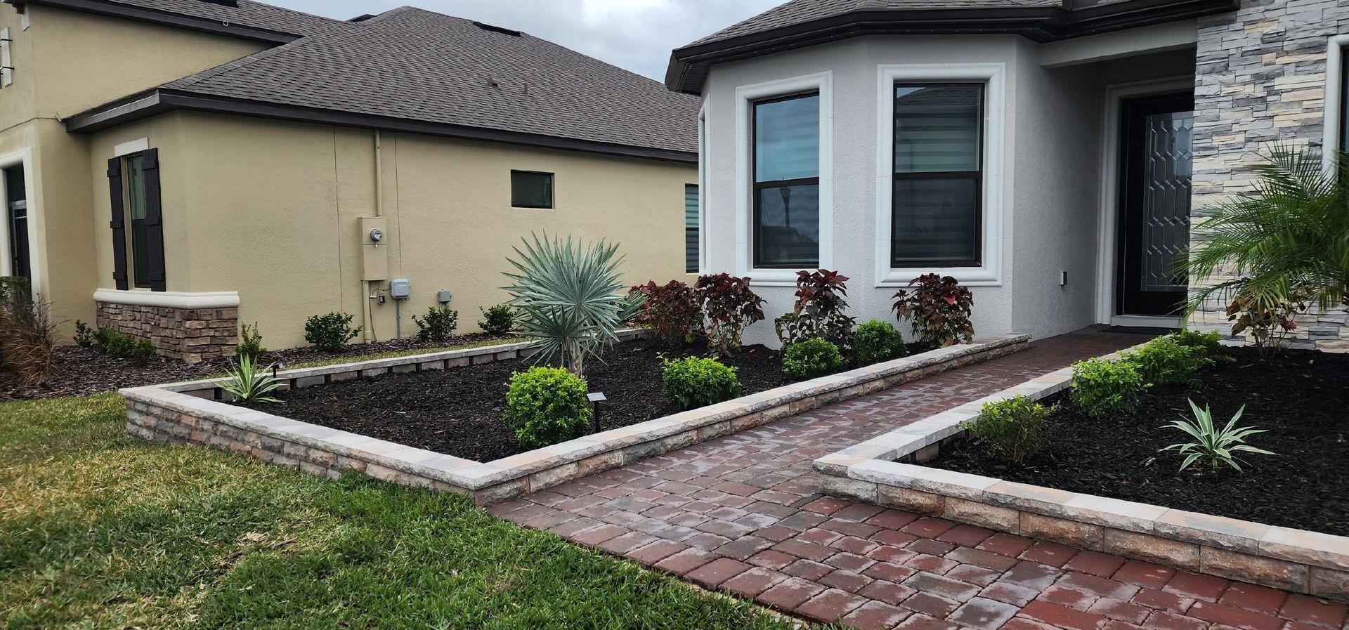 Landscaped palm tree bed with white stone border in a suburban front yard