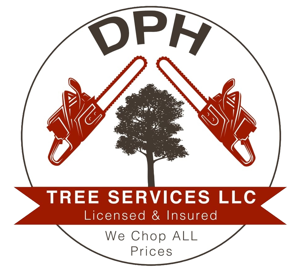 Logo for DPH Tree Services: circle with chainsaws, tree, and text "Tree Services , Licensed & Insured, We Chop ALL Prices".