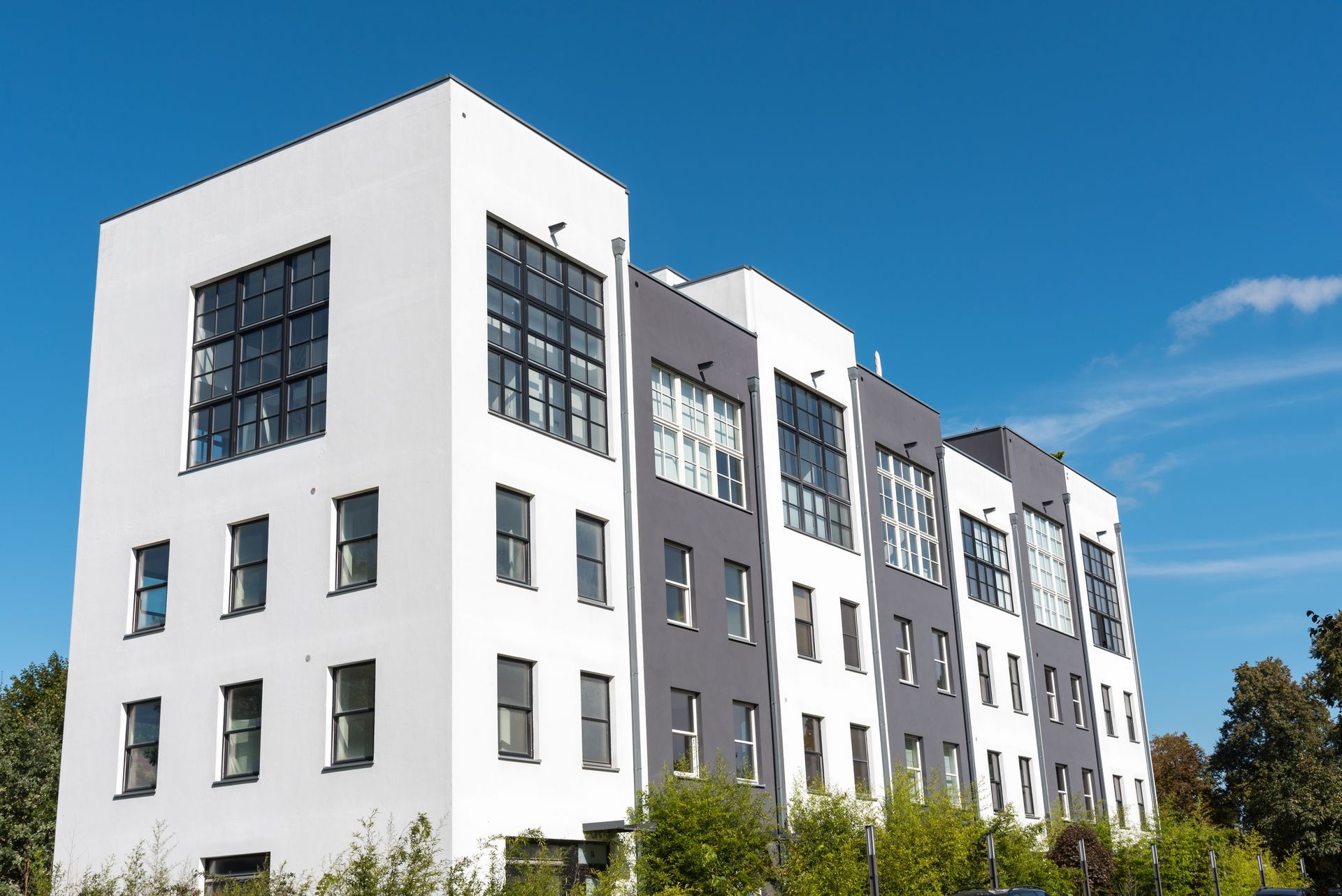 A large white building with a lot of windows