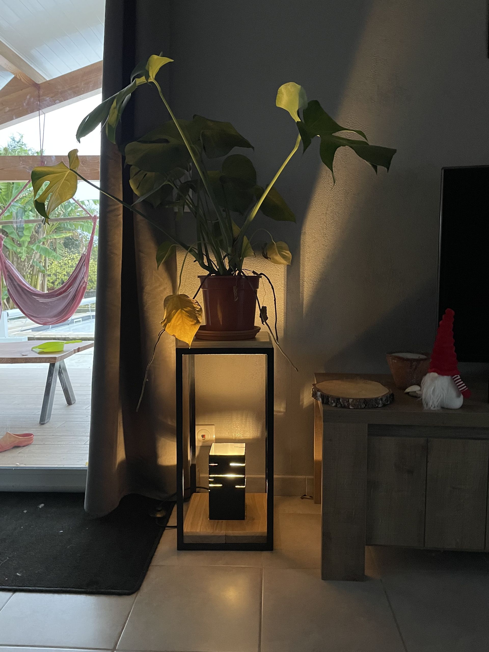 Un Monstera en pot aux feuilles jaunies est posé sur un support métallique éclairé à l'intérieur d'une maison, près d'une porte-fenêtre.