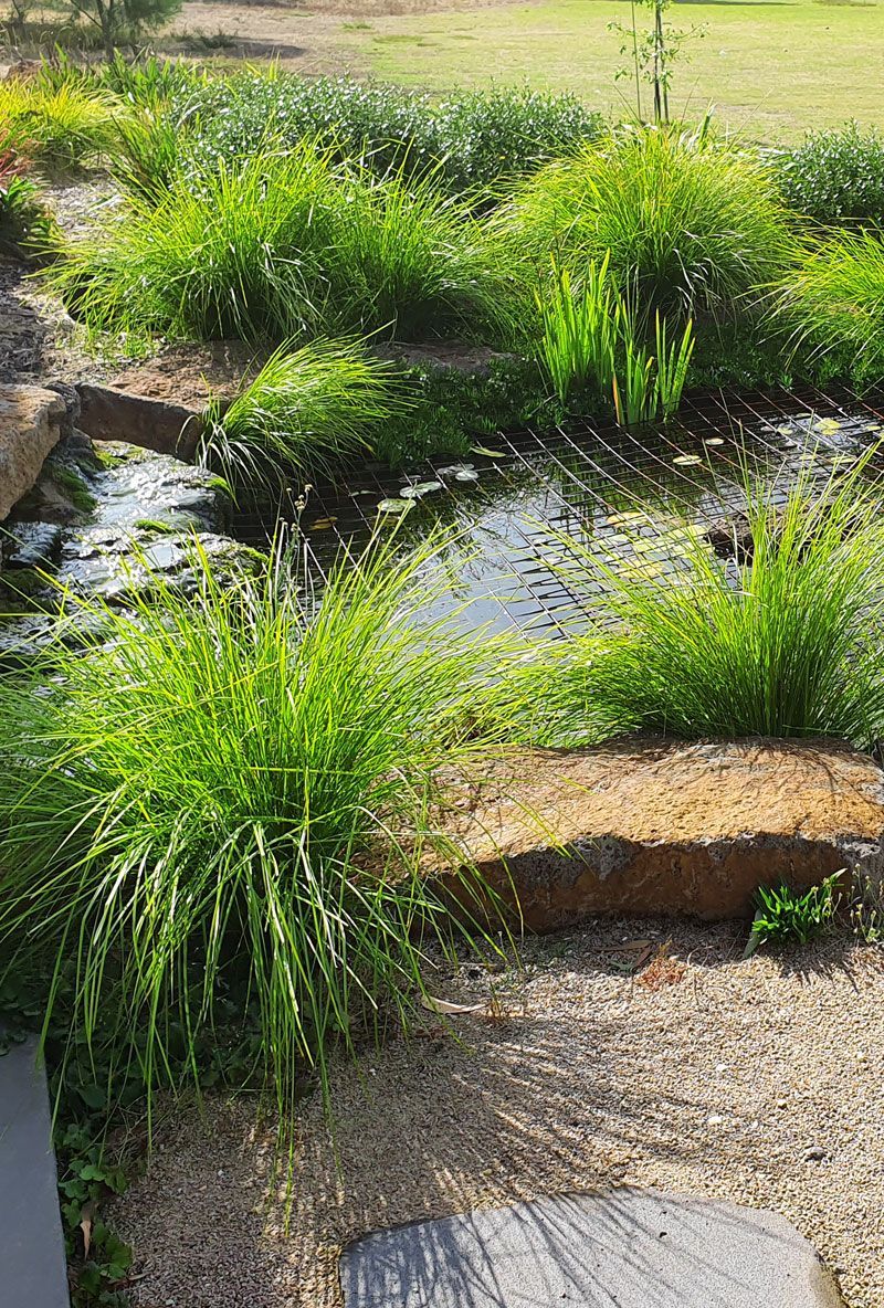 A lush green garden with a small pond, grass, and stepping stones.