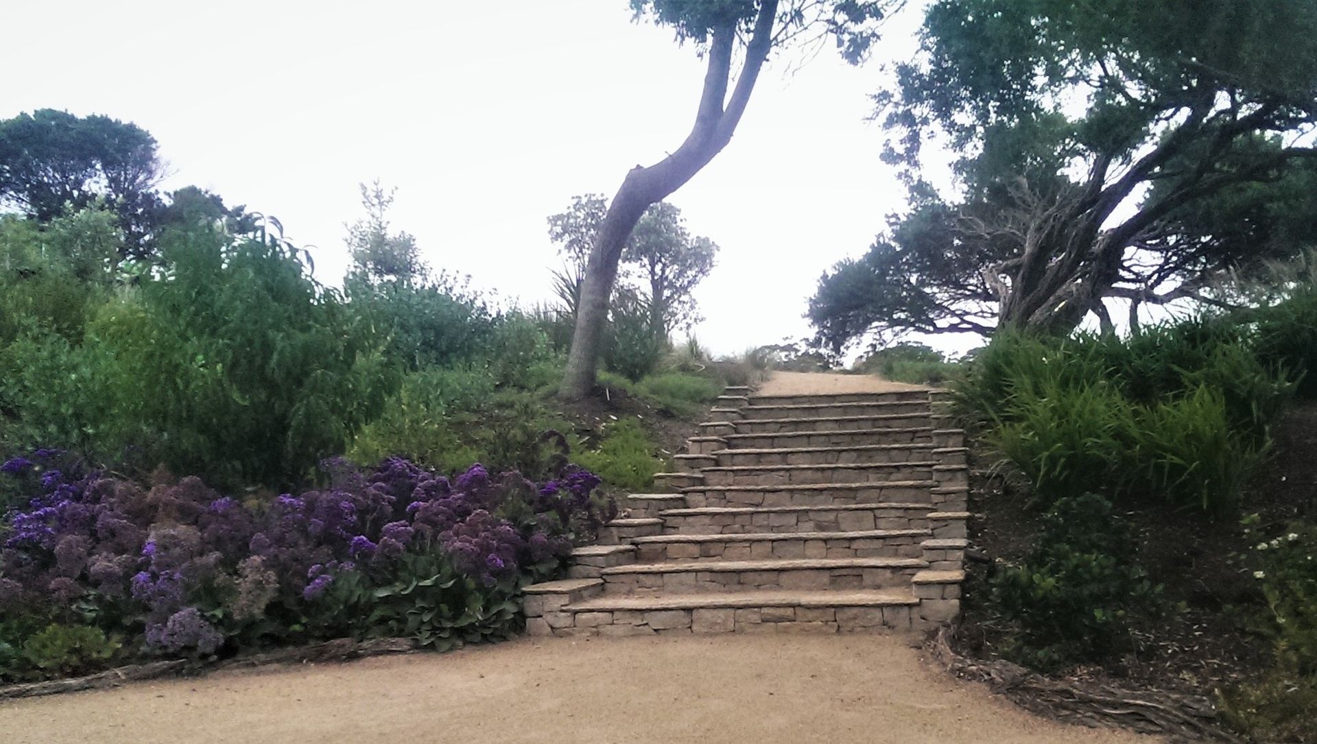Stone steps lead uphill through a garden with purple flowers, trees, and cloudy sky.