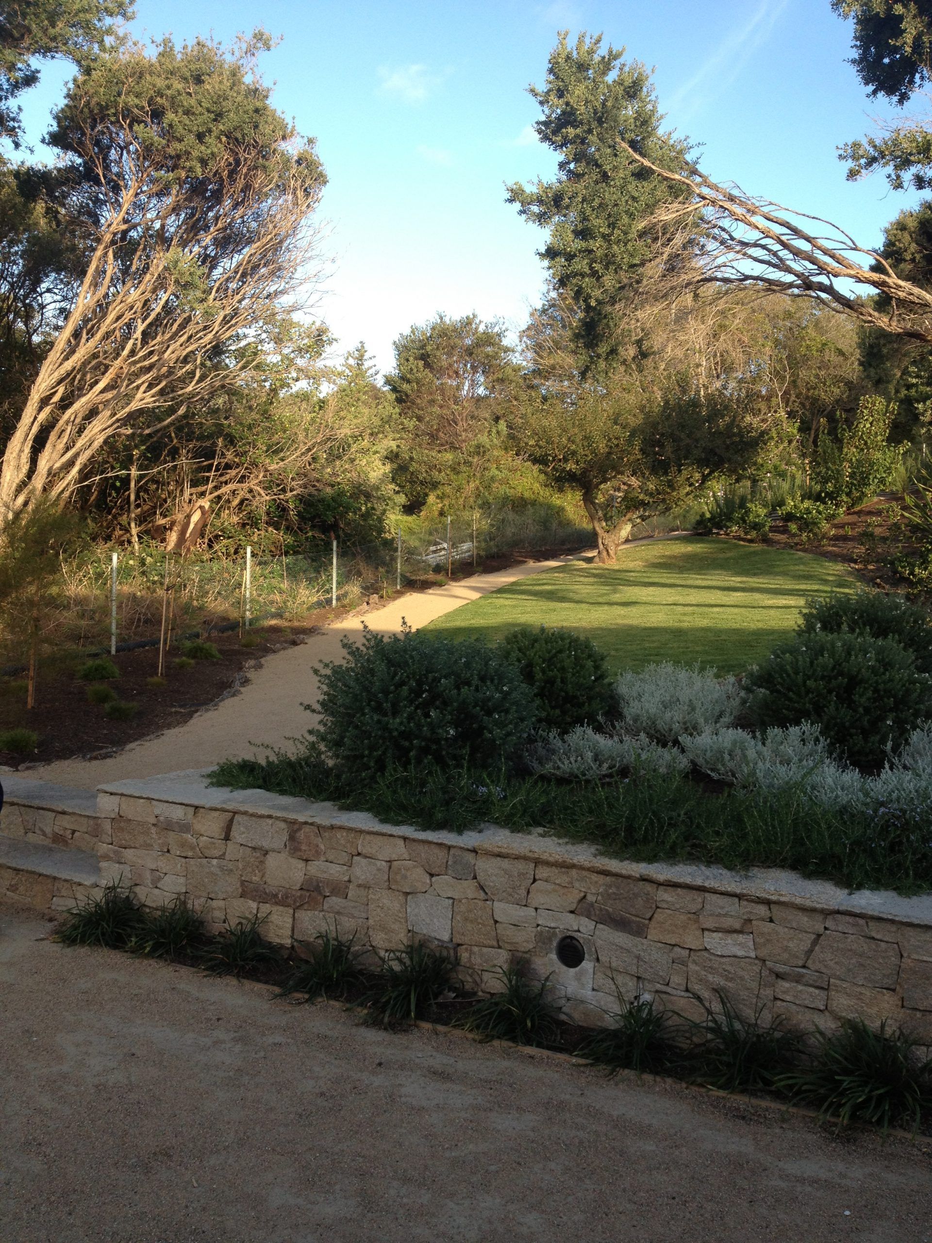 Path through a garden with stone wall, green grass, and trees under a blue sky.